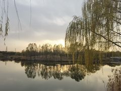 -马家湾湿地公园