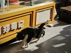 -艾加柒克蛋糕茶歇甜品台(春熙路店)