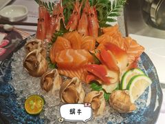 北极贝刺身-大渔铁板烧(大悦城店)