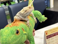 -FAIRYLAND龙族星球主题餐厅(凯丹广场店)