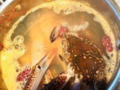 -星伦多 自助料理(圆融店)