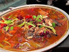 -宝记烧烤·碳锅羊肉·羊蝎子火锅·夜食社(文体路创始店)