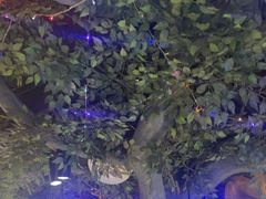 -津沽小院(天津之眼店)