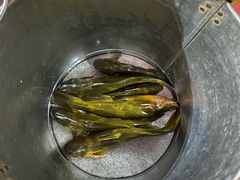 -缘福乡村铁锅炖民宿(八达岭店)