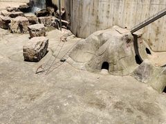-无锡动物园·太湖欢乐园