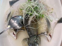 油盐蒸神仙鳊鱼-四海酒家生态粤菜