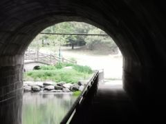 -白水寺森林公园