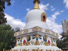 -护国法轮寺