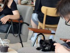 -SAANCI山池咖啡(海上世界文化艺术中心店)