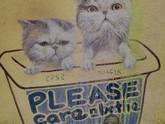 -槟城街头艺术街区