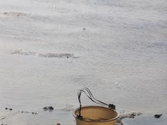 -红树林天天赶海