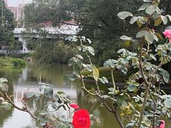 -人民公园(罗湖区)