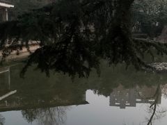 -西苑公园