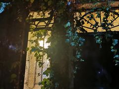 -西关84·History·Art·Cafe