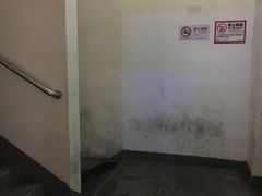 -万达影城(江桥万达广场IMAX店)