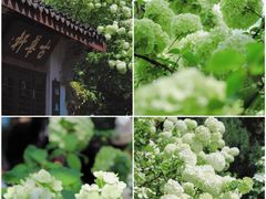 -惠山古镇·寄畅园