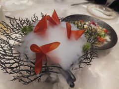 -迦南苑·新派青岛菜·生日纪念日主题餐厅
