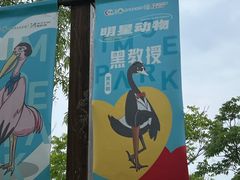 -祥源·阜阳生态乐园