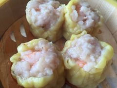 -大雄九老菜馆(南门桥店)