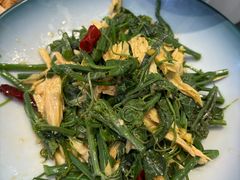 凉拌丝瓜尖-黑窑厂糖油饼烤鸭·清真菜(旗舰店)