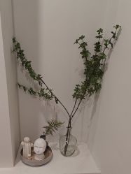 -VE专注问题肌·赛诺龙&科学美肤中心