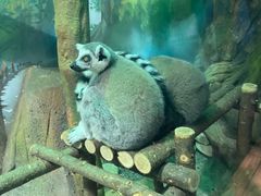 -大连圣亚海洋世界
