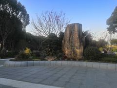 -昆山城市生态森林公园