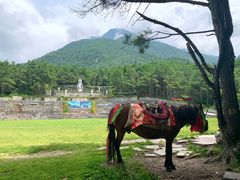 -康定跑马山风景区