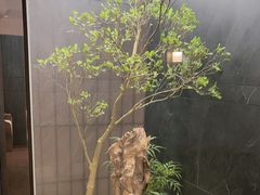 -浩运·海鲜青岛菜·海胆水饺(石老人店)