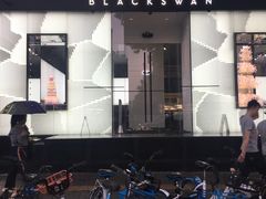 -BLACKSWAN黑天鹅(环球店)
