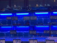 水产区-琼菜王(南海店)