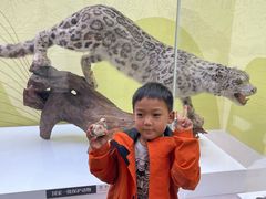 -国家自然博物馆