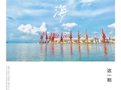 -招商蛇口邮轮母港(观光客运)