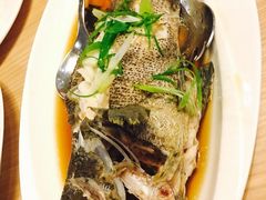 -Isla Sugbu Seafood City