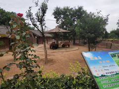 -石家庄市动物园