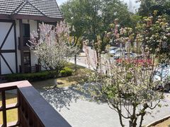 -太阳岛度假酒店