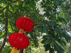 -小南山公园