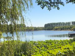 -东郊湿地公园