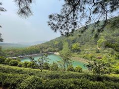 -九龙潭景区
