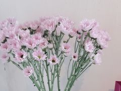 -瓦库茶馆17号(海汇港店)