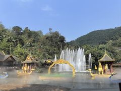 -西双版纳原始森林公园