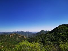 -大岭沟猕猴桃谷风景区