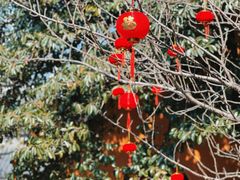 -龙华寺
