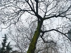 -环城公园-琥珀潭