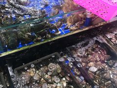 -三亚新鸿港水果一级批发市场