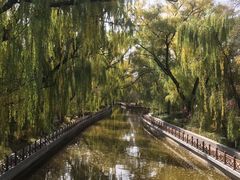 -迎泽公园