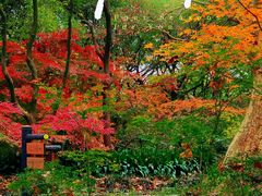 -共青国家森林公园-售票处