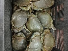 -無招牌海鮮(芽笼店)