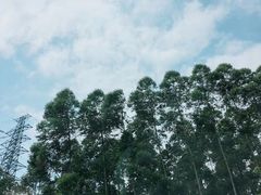 -碧水峡漂流