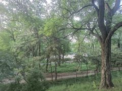 -元大都城垣遗址公园